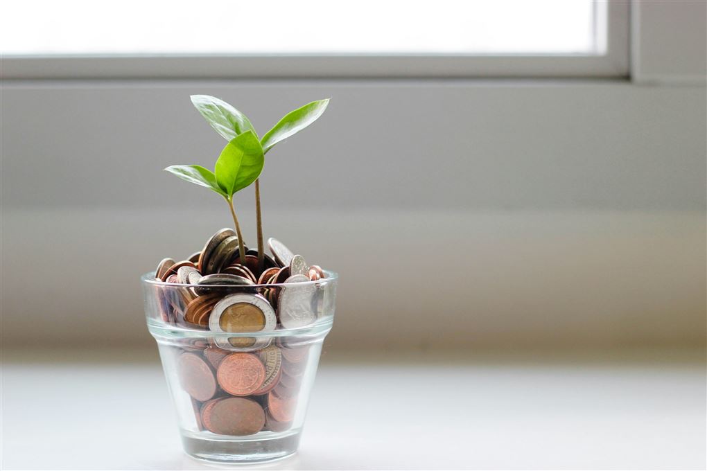 Et glas med penge og en blomst