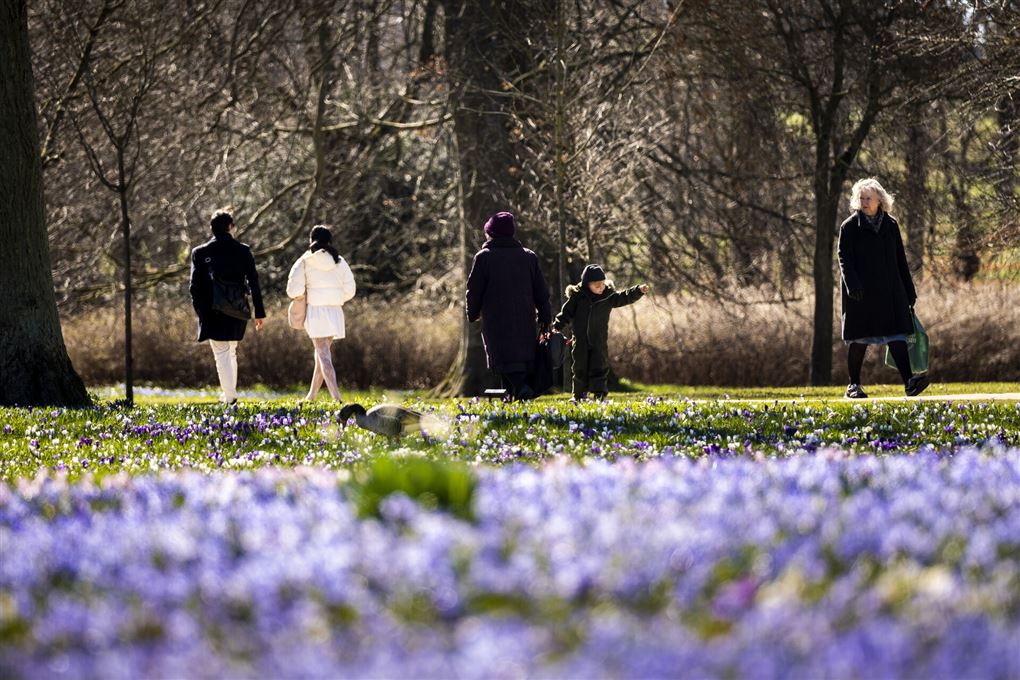 Personer går tur i solen