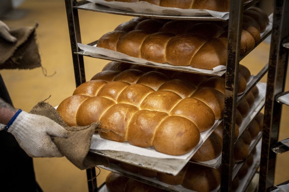 nybagte brød