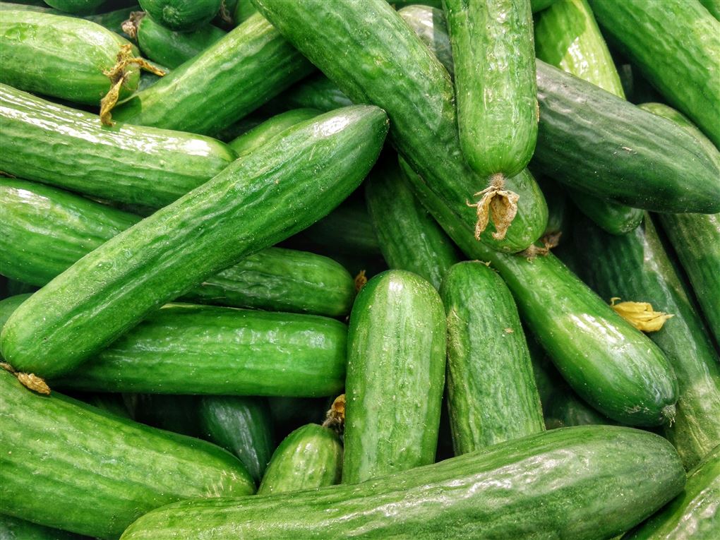 agurker