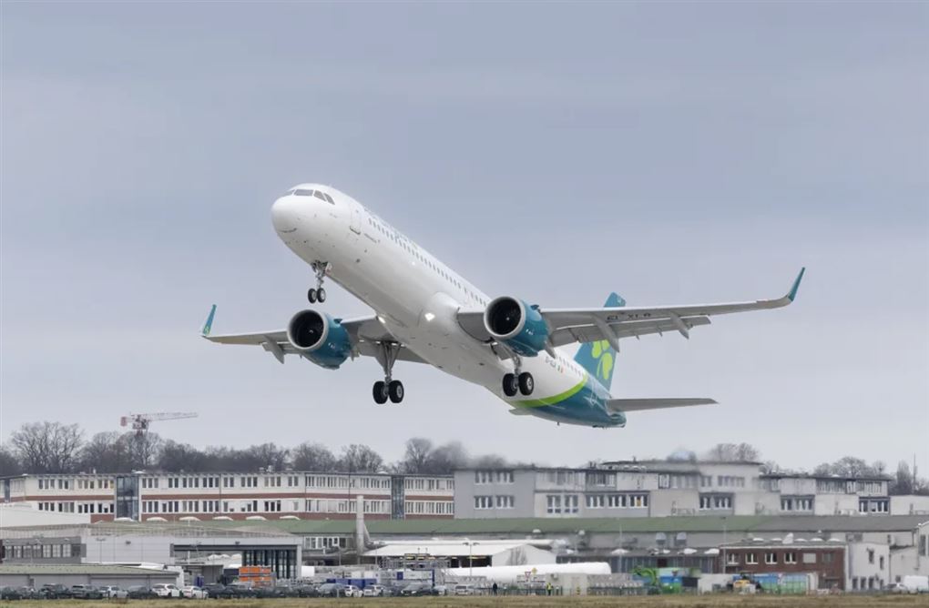 en fly i luften