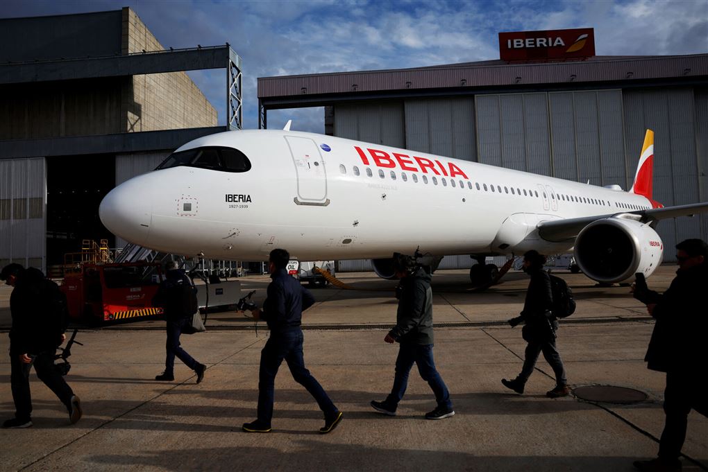 et fly på jorden