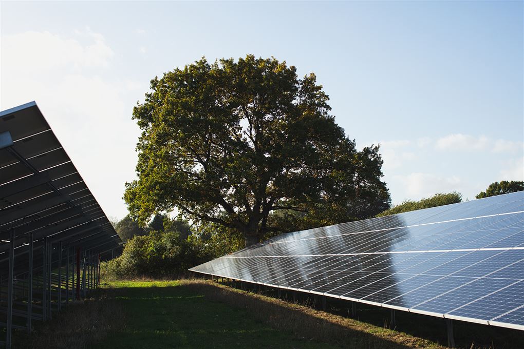 solcellepark