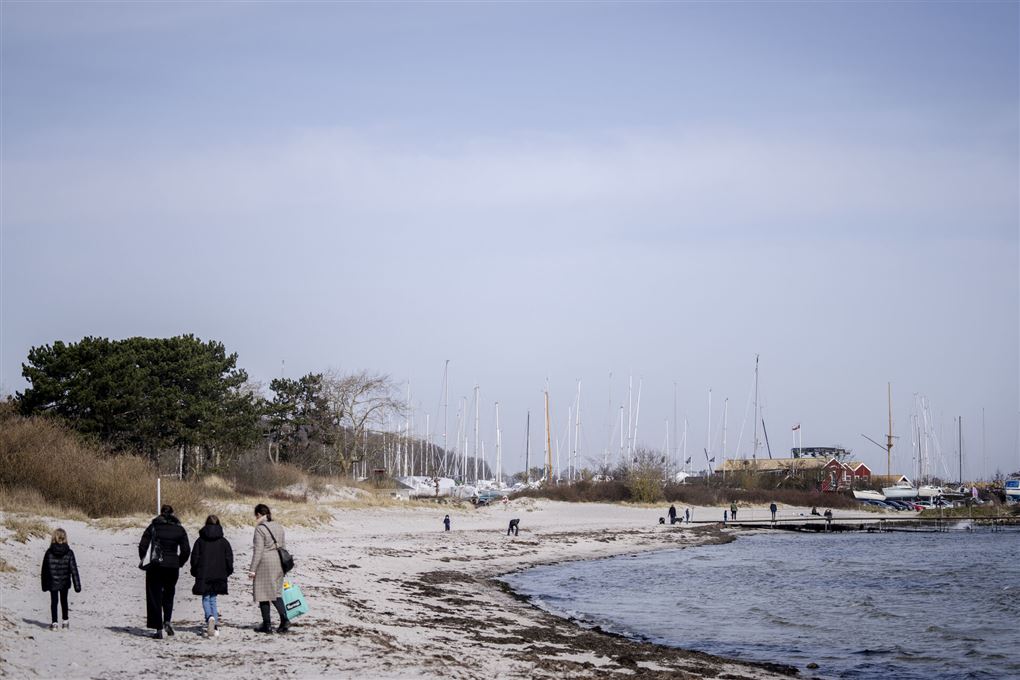 Personer går tur på strand