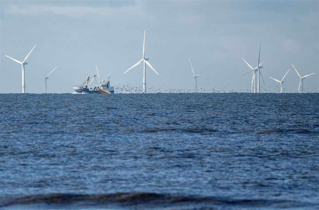 vindmøller på havet