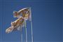 hvide flag med firmalogo