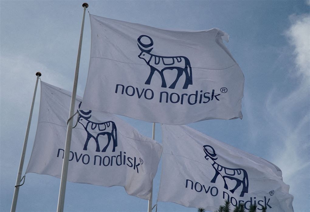 Novo-Flag i vinden