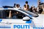 Politibil på festival