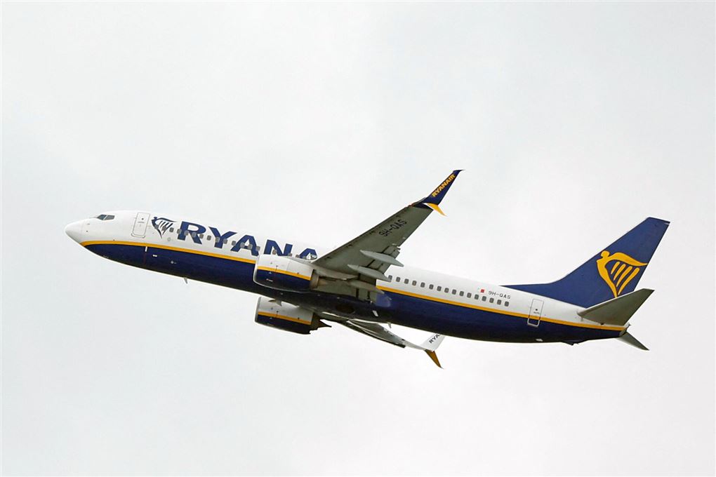 et fly i luften