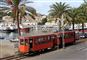 Et lille rødt tog kører mellem nogle palmer på havnen i Sóller