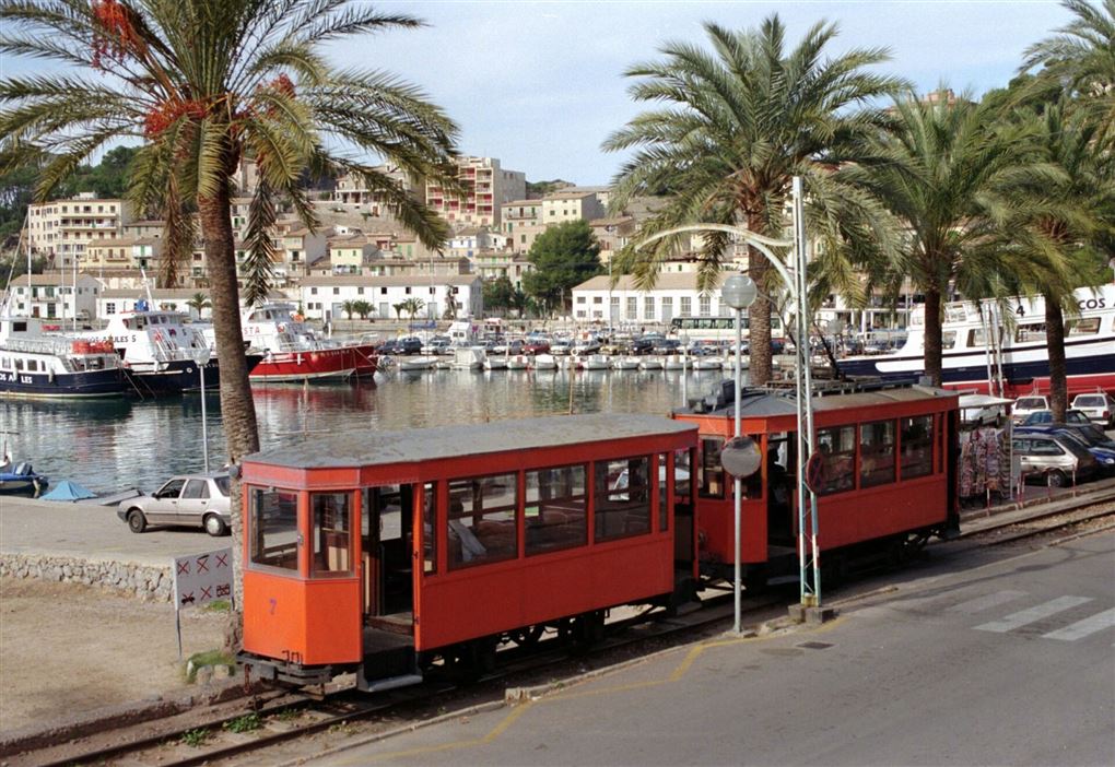Et lille rødt tog kører mellem nogle palmer på havnen i Sóller
