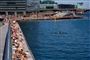 Oversigtsbillede af tætpakket havnebad i københavn