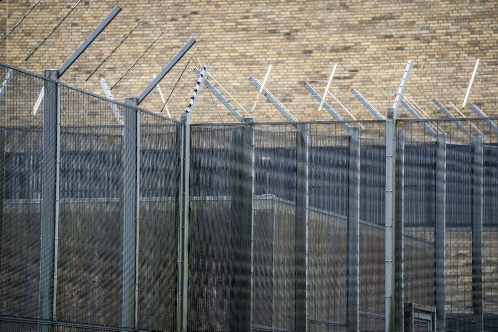 Nærbillede af pigtrådshegn
