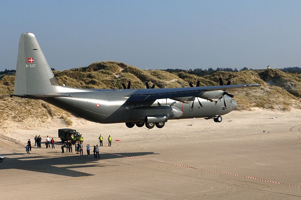 fly lander på strand