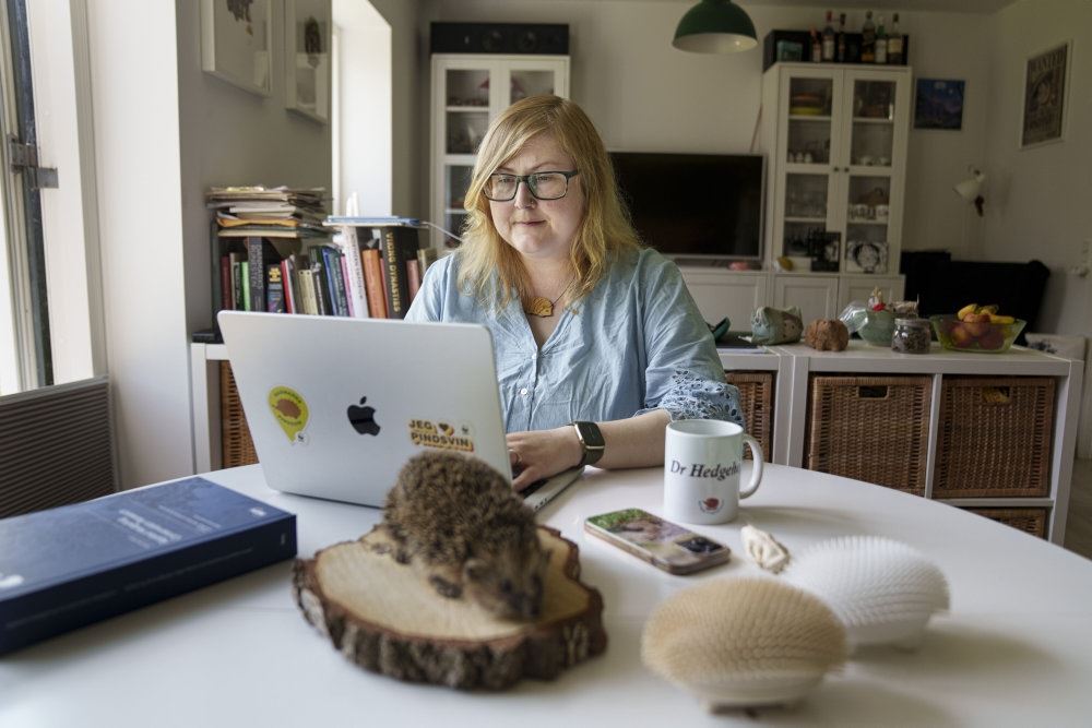 kvinde bag pc på spisebord